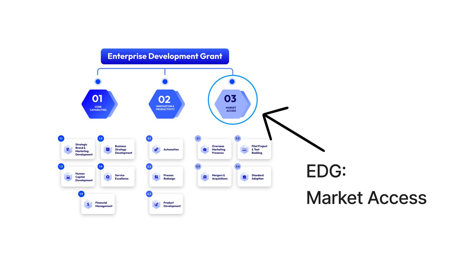 EDG Market Access