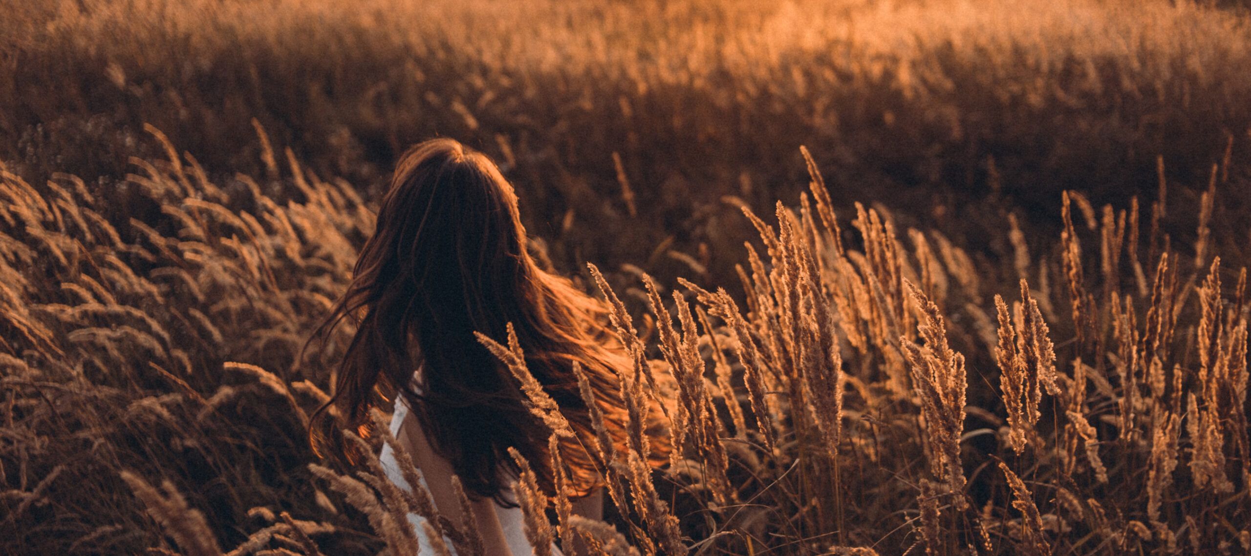 Why You Should Study the Book of Ruth | Core Christianity