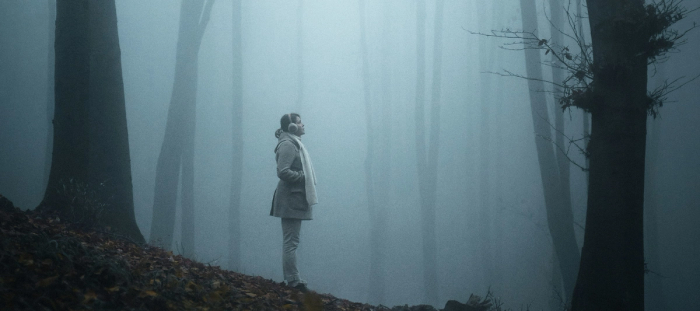 person in white jacket standing on brown dried leaves during daytime
