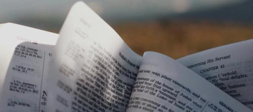 Bible in front of a field and sky