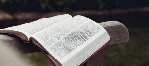 Bible open on the arm of a chair in the grass