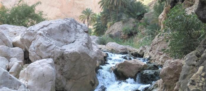 a gentle waterfall from a stream cascading over rocks and surrounded by palm trees and brightly lit canyon walls