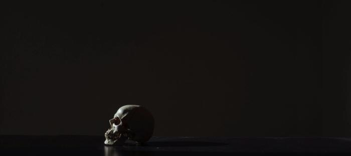 CC- white skull in front of black backdrop