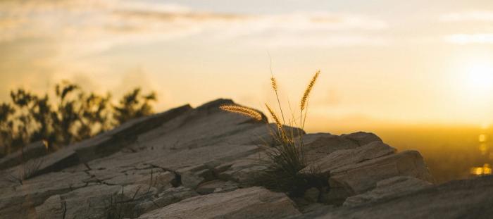 sunset photography