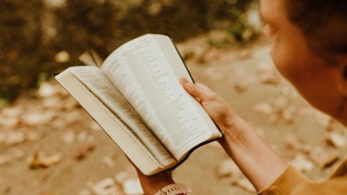 A person holding a Bible in their hands and flipping through the pages.
