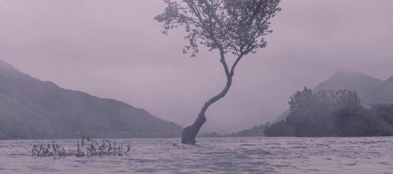 alt image text