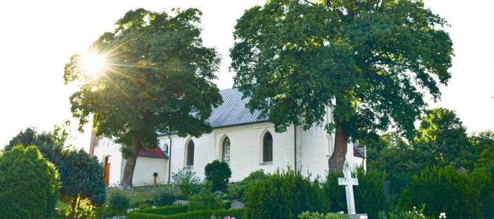 CC- white church surrounded by green trees with sun peaking through