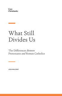 Picture of Cover, What Still Divides Us
