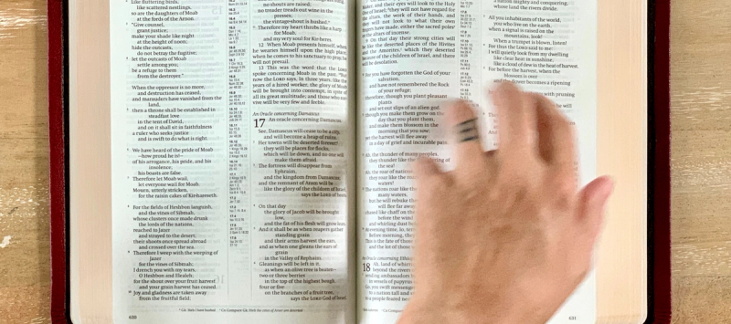 alt image text