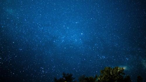 A deep blue starry sky above a row of trees.