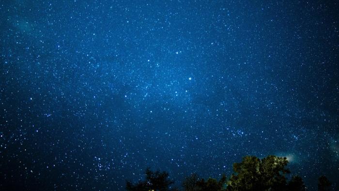 A deep blue starry sky above a row of trees.