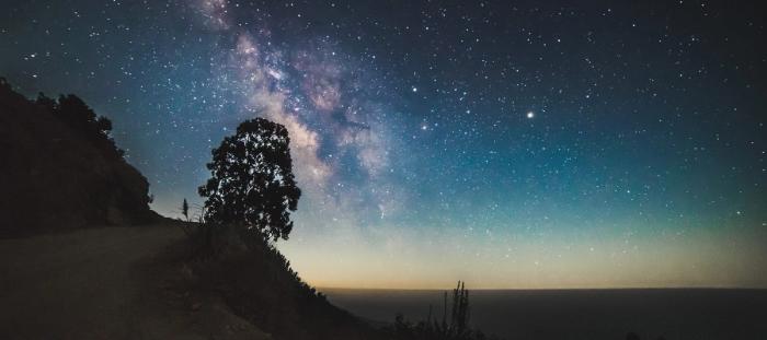 tree near cliff under starry night