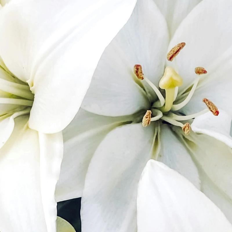 A Pure Heart In A World Of Passions: The Seventh Commandment