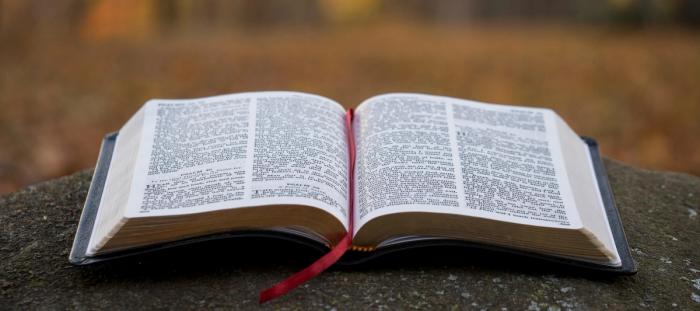bible page on gray concrete surface
