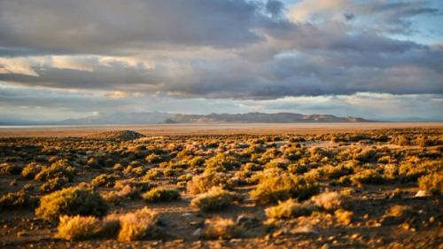 A desert landscape with small bushes, a cloudy sky, and mountains in the far distance.