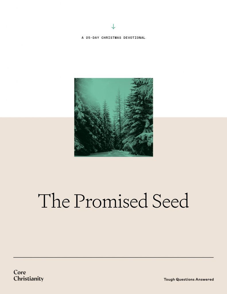 The Promised Seed
