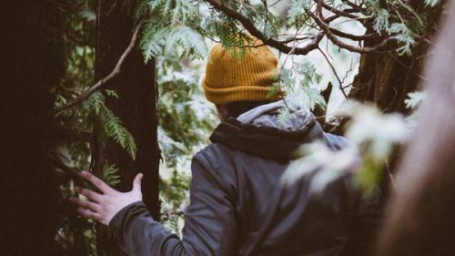 A man in a jacket and yellow beanie in a pine tree.