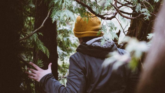 A man in a jacket and yellow beanie in a pine tree.