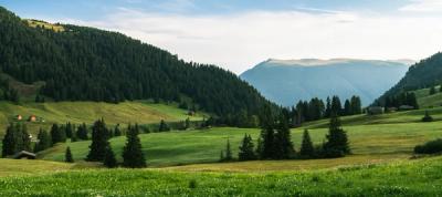 Meadow between mountains with trees