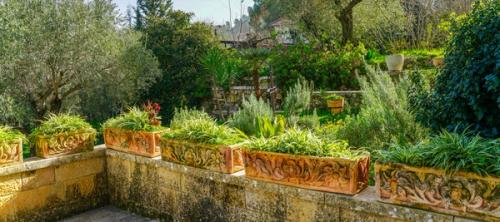 A lush garden in Israel bordered by a wall with trees behind it.