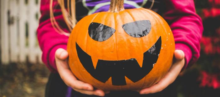 selective focus photography of person holding pumpkin