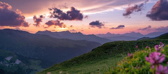 sunrise over a green and floral hillside