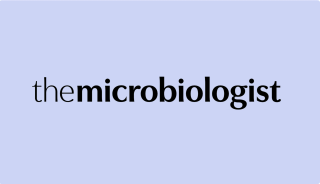 Spore.Bio: why now is finally the time for fast, AI-powered microbial detection