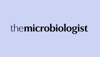 Spore.Bio: why now is finally the time for fast, AI-powered microbial detection