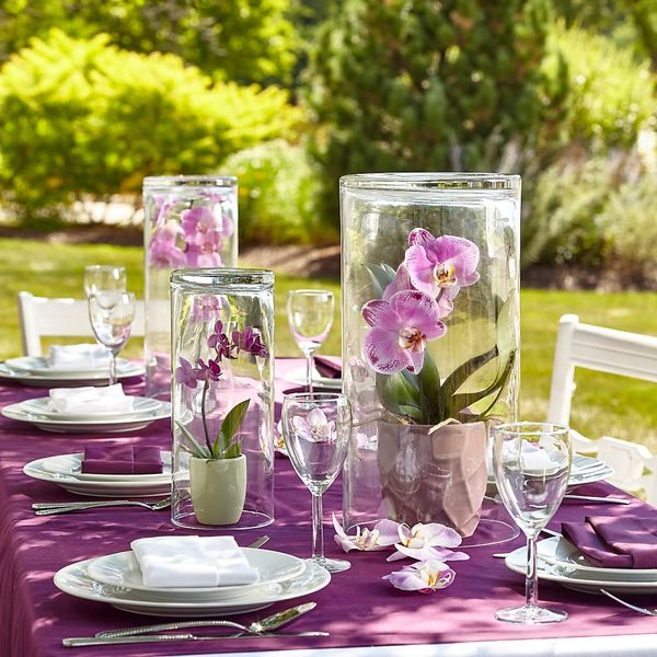 Portfolio image for Vaseful Flowers & Gifts