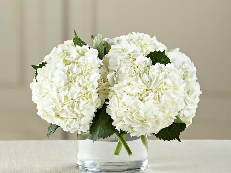 Blakelee's Bouquets