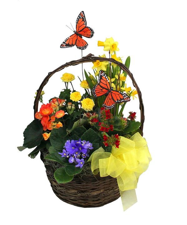 Portfolio image for Nanz and Kraft Florists