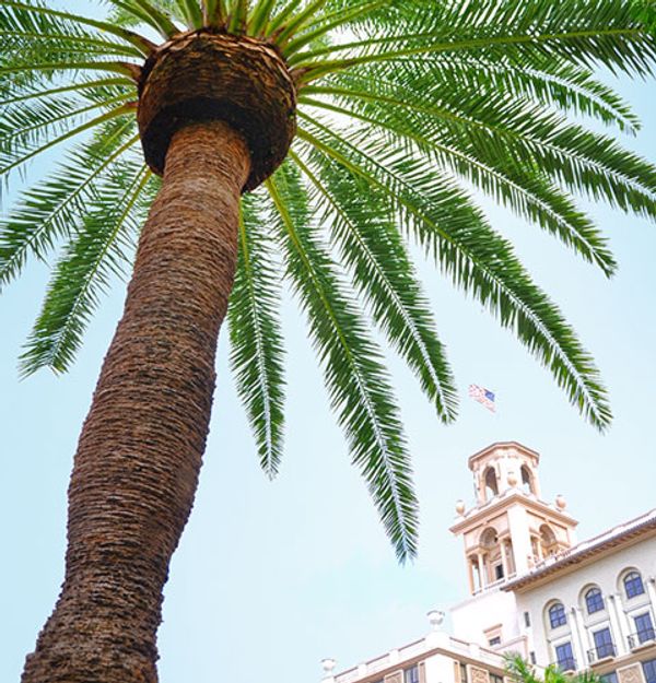 Gallery image for The Breakers Palm Beach