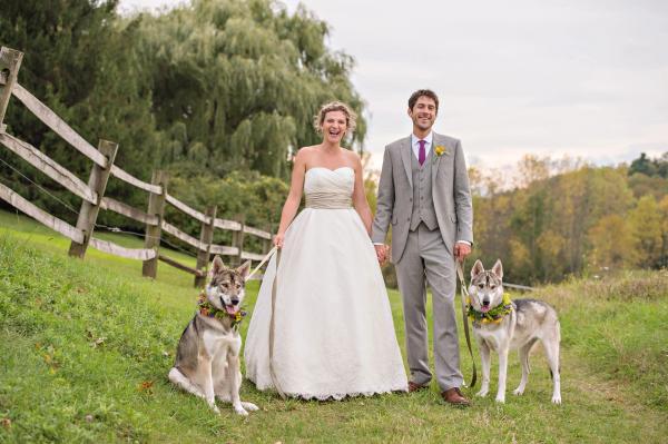 Portfolio image for Daria Bishop Photography