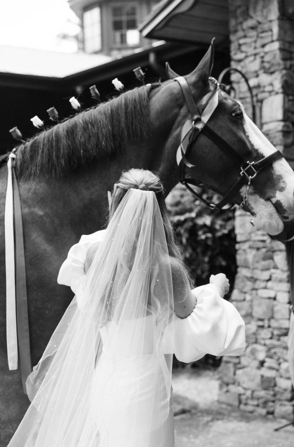 Gallery image for Windwood Equestrian
