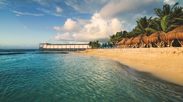 Gallery image for El Dorado Seaside Palms