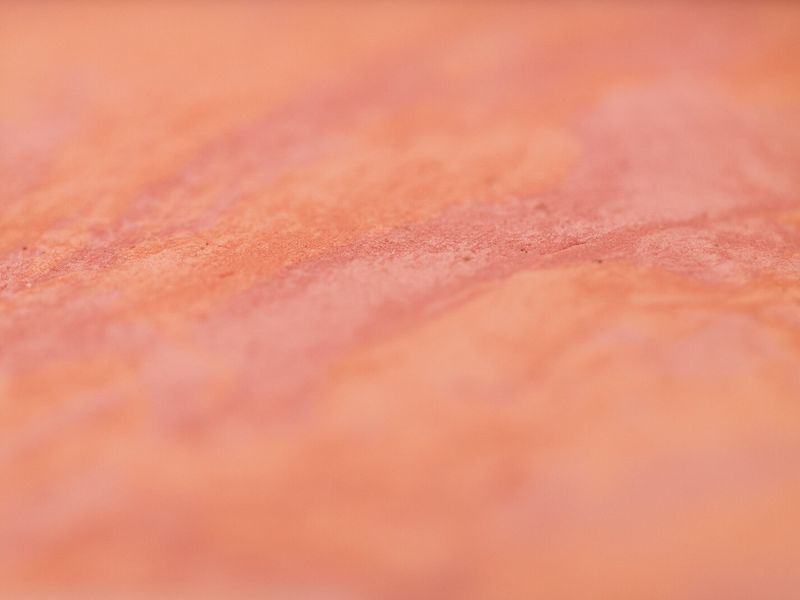 Bronzed and Blushed LLC