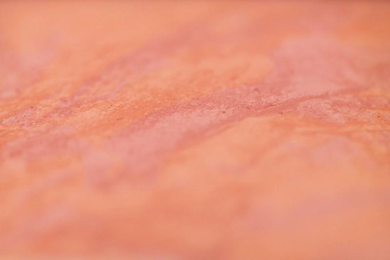 Bronzed and Blushed LLC