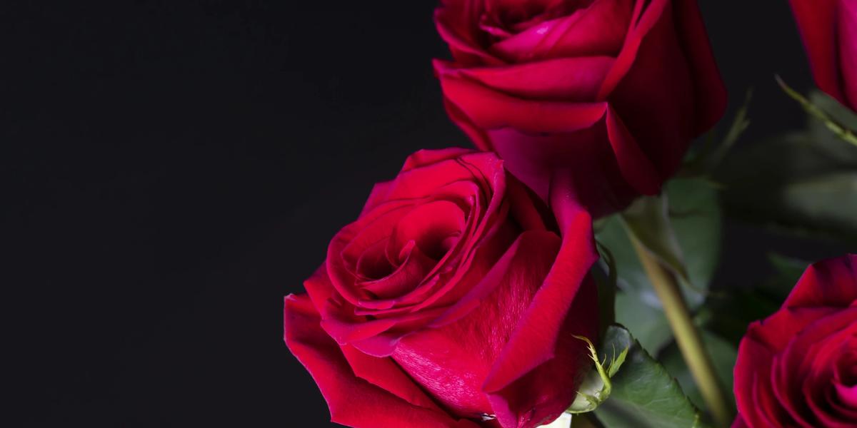 Just Gorgeous Floral Design