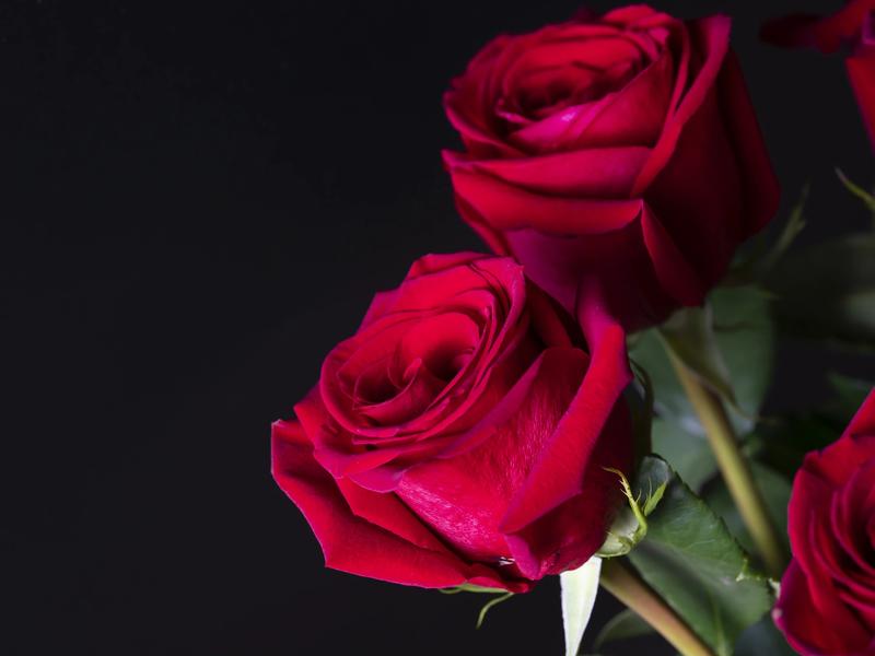 Just Gorgeous Floral Design