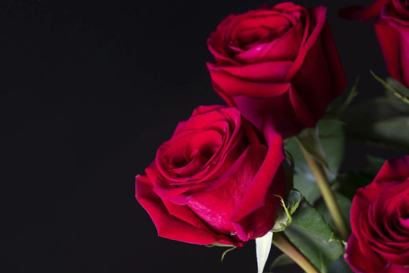 Just Gorgeous Floral Design