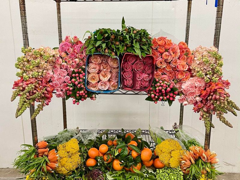 The Wild Orchid Florist and Flower Shop