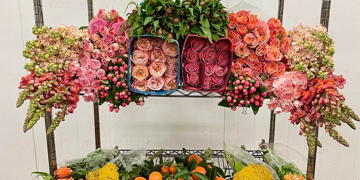 The Wild Orchid Florist and Flower Shop