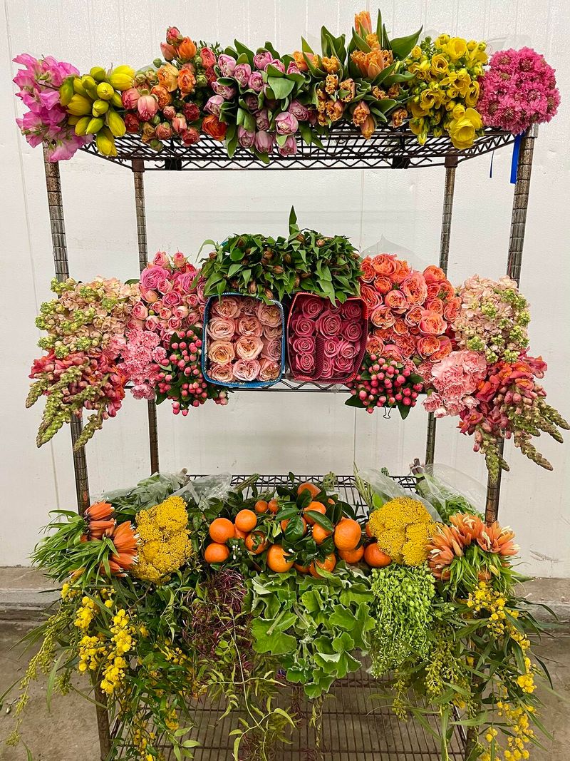 The Wild Orchid Florist and Flower Shop