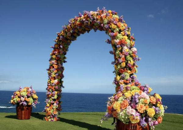 Portfolio image for Asa Flowers