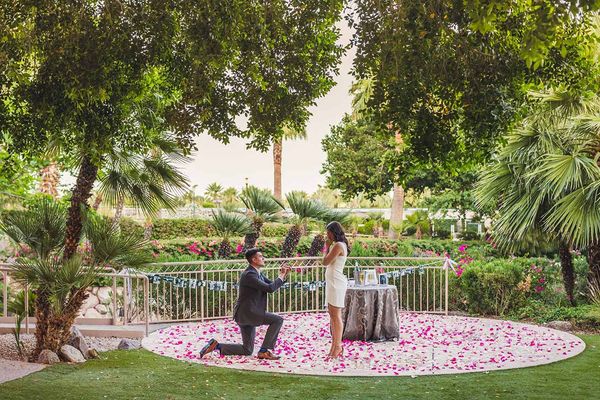 Portfolio image for The Phoenician, A Luxury Collection Resort