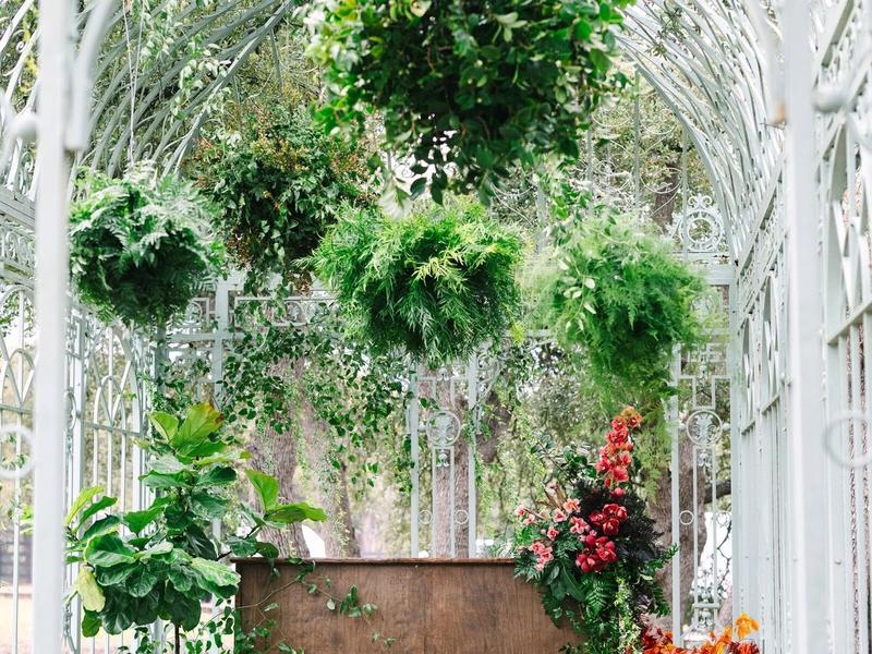 Flora Fetish