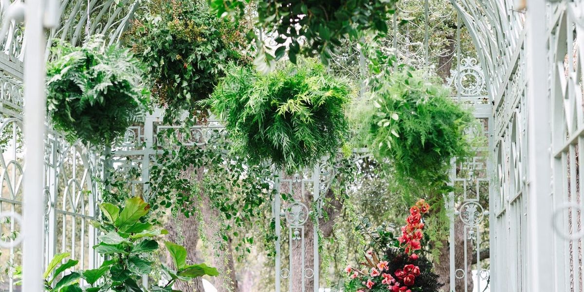 Flora Fetish