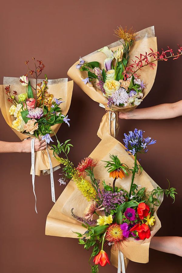 Portfolio image for Neroli Blume