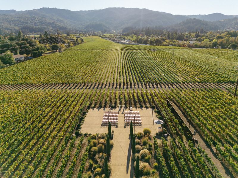 Brindare Napa Valley