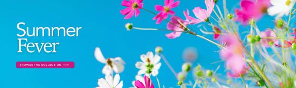 Portfolio image for Flowerama On Pacific
